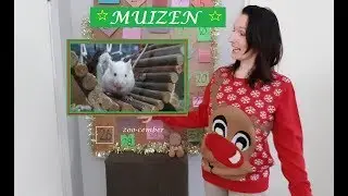 MUIZEN bak schoon maken en close up 🎄26🎄 Zoo-Cember