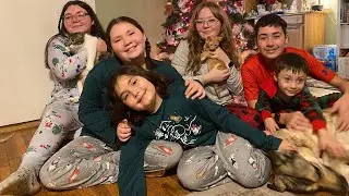 Christmas 2024 