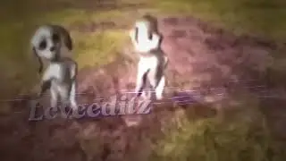 Barbie dogs dancing 🤩💅