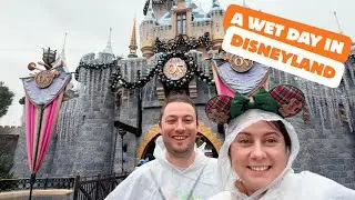 Disneyland in the Rain 🌧️🎄 Christmas Crowds, Wet Shoes & Still Magical
