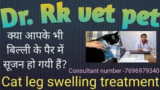 क्या आपके भी बिल्ली के पैर में सूजन हो गयी हैं? | Has your cat's leg swollen  #catlegswelling