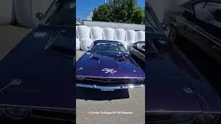 71 Dodge Challenger R/T