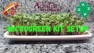 KidzFest MicroGreen Setup