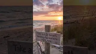 Take One Calm Breath #breathing #calmshort #relaxingmusic #calmvideo #music