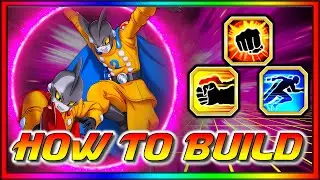 HOW TO BUILD! LR INT Gamma 1 and Gamma 2 LR GAMMAS Revisited Hidden Potential Dokkan Battle 9th anny