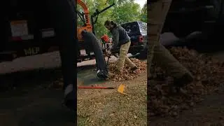 Large Leaf Cleanup!