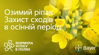 ОЗИМИЙ РІПАК. ЗАХИСТ СХОДІВ В ОСІННІЙ ПЕРІОД
