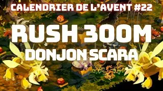 EPISODE 22 CALENDRIER DE L'AVENT : FARM RUNES ET KAMAS AU DONJON SCARA DOFUS RETRO EN TEAM PVM DROP
