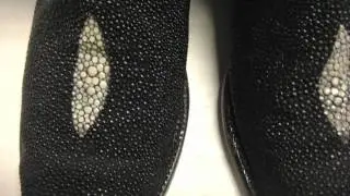 Lucchese Stingray