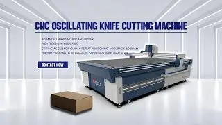 CCD Vision Positioning + Oscillating Knife Cutting