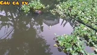 Best Fishing Video | Рыбалка Видео (Part-01)