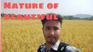 Bormai ghorot phoribo goiselu##matlaivlog##