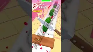 Perfect Slices LVL 11 Gameplay FUN GAME #shorts #PerfectSlices #fungames #viralvideo