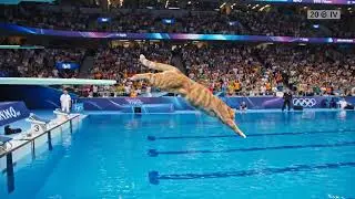 🐱 Olympic Diving Cat Stuns with Flawless Routine! 🤸&zwj;♀️