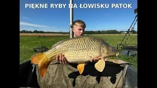 Ukraince chcieli zabrać nam rybe!? test łowiska specjalnego patok.