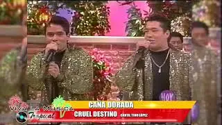 Ca&ntilde;a dorada - Cruel Destino