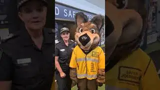 Road Safety Online Activities: Introduction