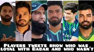 players tweet on Babar resignation, it shows who was loyal to Babar and who was not, #babarazam