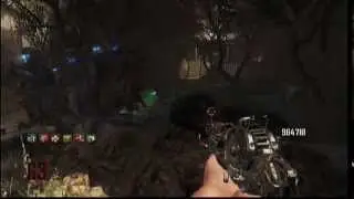 Buried Round 63 Solo Wonder Weapon/Raygun Mark 2 6 Perks