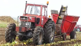 Special Built Massey Ferguson 178 4WD Tractor Harvesting Beets