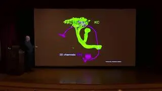 Larry Abbott, Columbia: Fly AI
