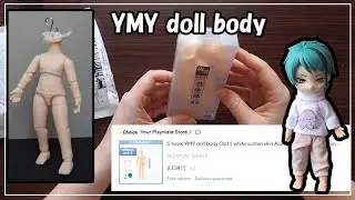 [Review] YMY 11 SS doll body S hook from aliexpress. Part1