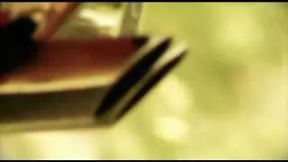 Ford Mustang Mach 1 1969 - Reclame