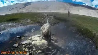 Puga Natural hot water fountain in Ladakh