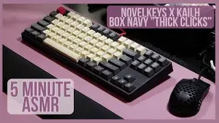 ASMR - Kailh BOX Navy - DM87 TKL - A Clicky Keyboard - 5 Minutes of Typing
