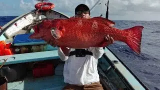 Voyage de Pêche - Îles Rodrigues - Partie #1