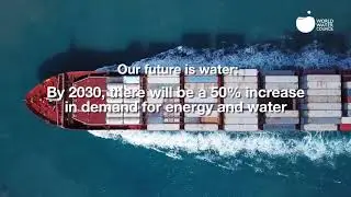 World Water Council: making it flow