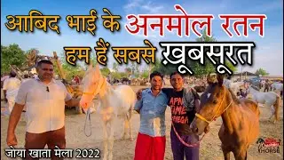 मिलिए आबिद भाई के ख़ूबसूरत बछेरे बछेरी से 9719817555 (Joya Amroha Mela_Up 2022)