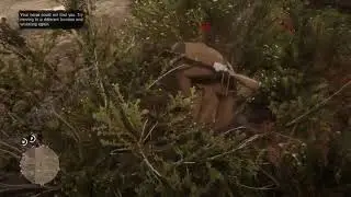 Don't screw with Colt Caine!!