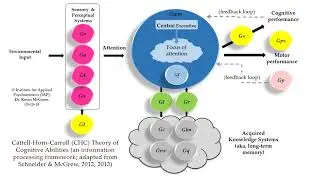 Cattell-Horn-Carrol (CHC) theory of intelligence update (2.5)