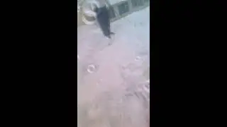 Quetta Main baraf Bari Itni hui ke log he raan reh Gaye 2020
