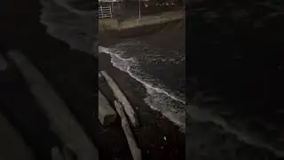 ASMR: One World Trade Center Hudson River Nature Sound