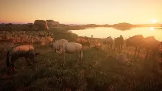 Animalia Survival - Wildebeest Herd Migration