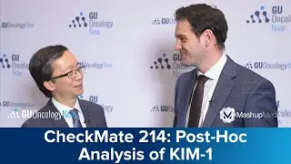 CheckMate 214: Post-Hoc Analysis of KIM-1 as a Prognostic Biomarker in aRCC