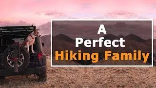 This cat and dog always go on hiking