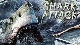 SHARK ATTACK / MUSIC VIDEO