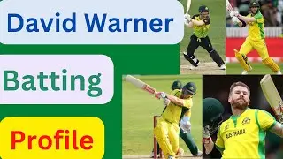David Warner All Cricket Format Batting profile | David Warner Records | David Warner Batting | ICC