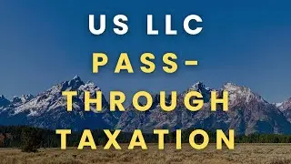 Объяснение сквозного налогообложения LLC в США 🇺🇸