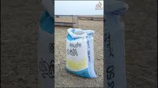 خبرات الحلقة الثالثة (  مشروع تربية الاغنام)