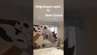 new dragon again lol mewt cookie #dragonpuppeteer #dragon