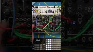 Nekyia eurorack modules #music #euroracksynth #modularsynth #eurorack