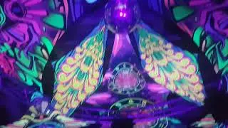 GOA SUN PARTYs 01