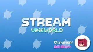 ИГРАЕМ ВМЕСТЕ ПРИВАТКИ \\ VIMEWORLD