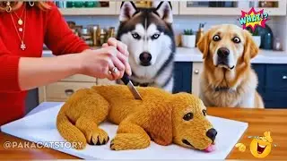 🍰🐶Dogs React to Cutting Cake 🤣 FUNNIEST Dog Reactions Compilation!