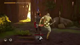 Absolver, first day of lag fix.