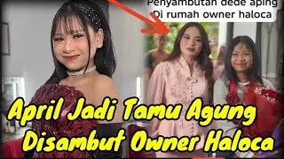 April Jadi Tamu Agung!! Disambut Owner Haloca